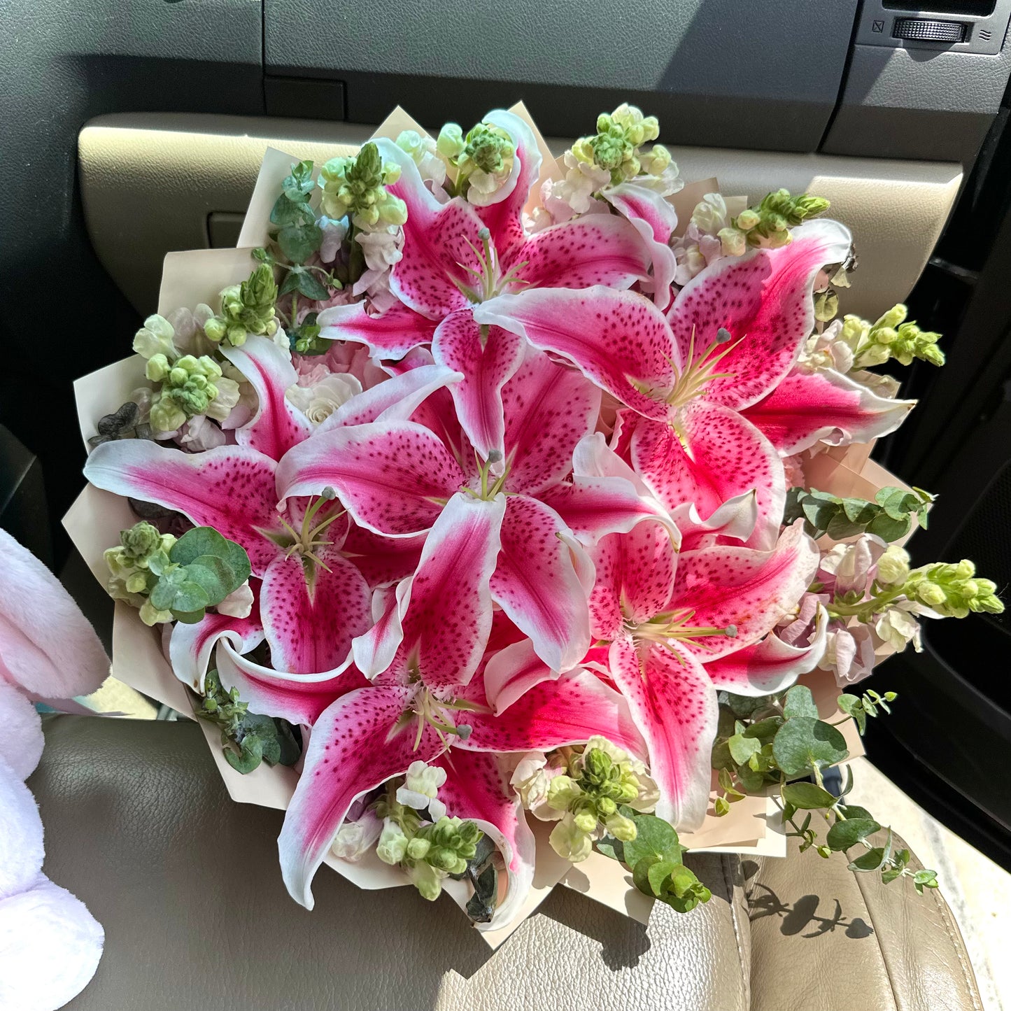 Lily fever dream