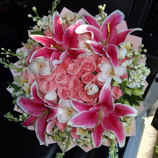 Lily Lover Girl