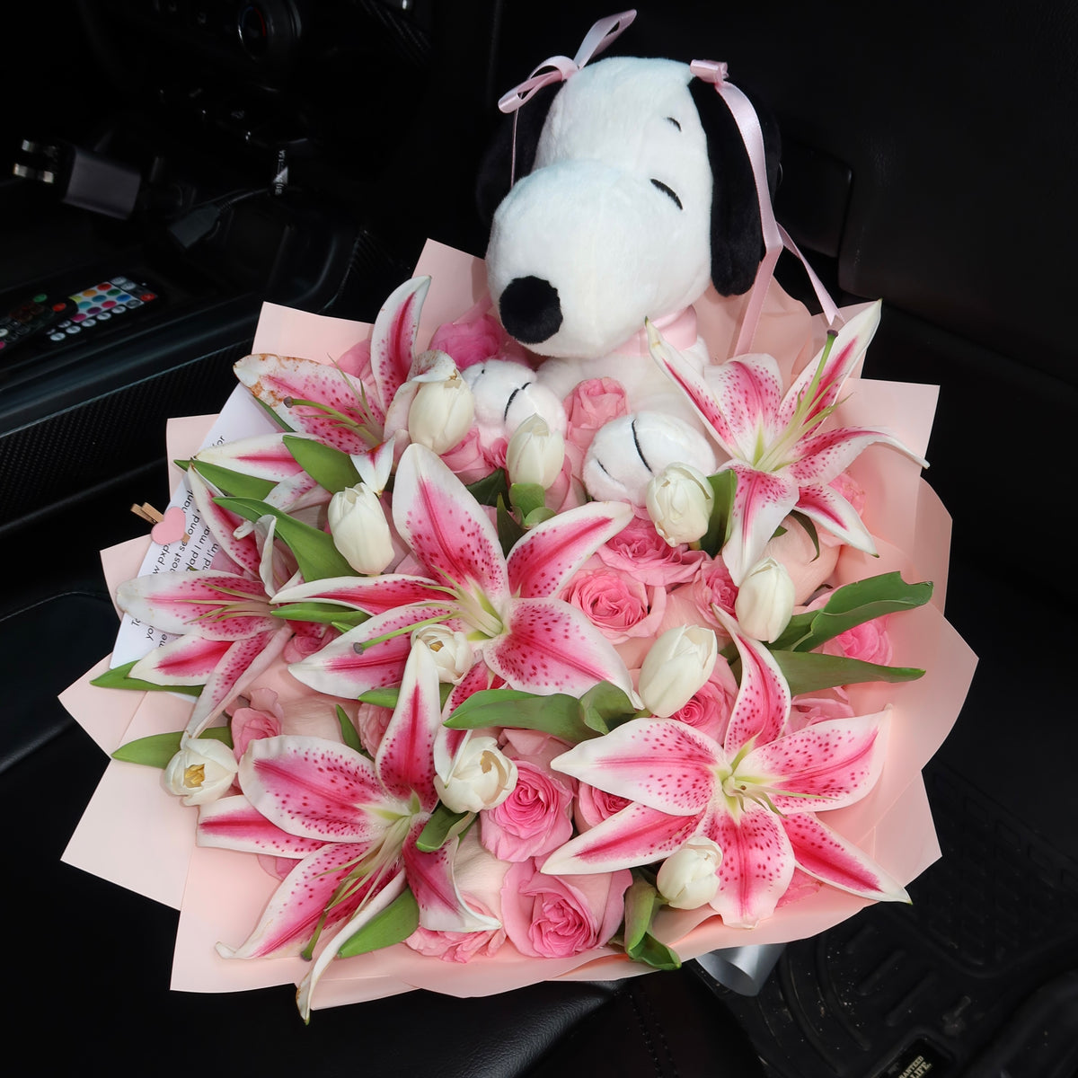 Snoopy love