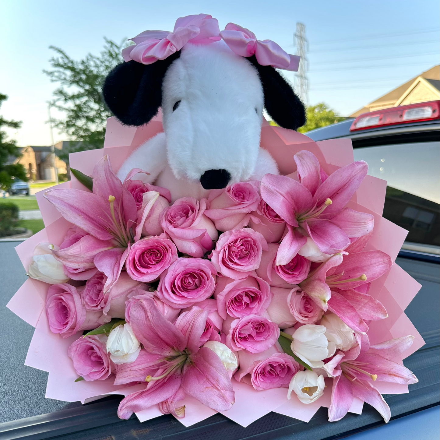 25 roses + snoopy